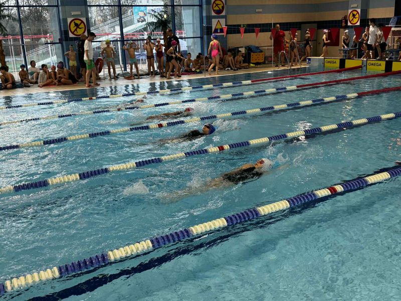 zdjęcie dzieci zawodników startujących w Mikołajkowych Zawodach Pływackich w wodzie w Parku Wodnym