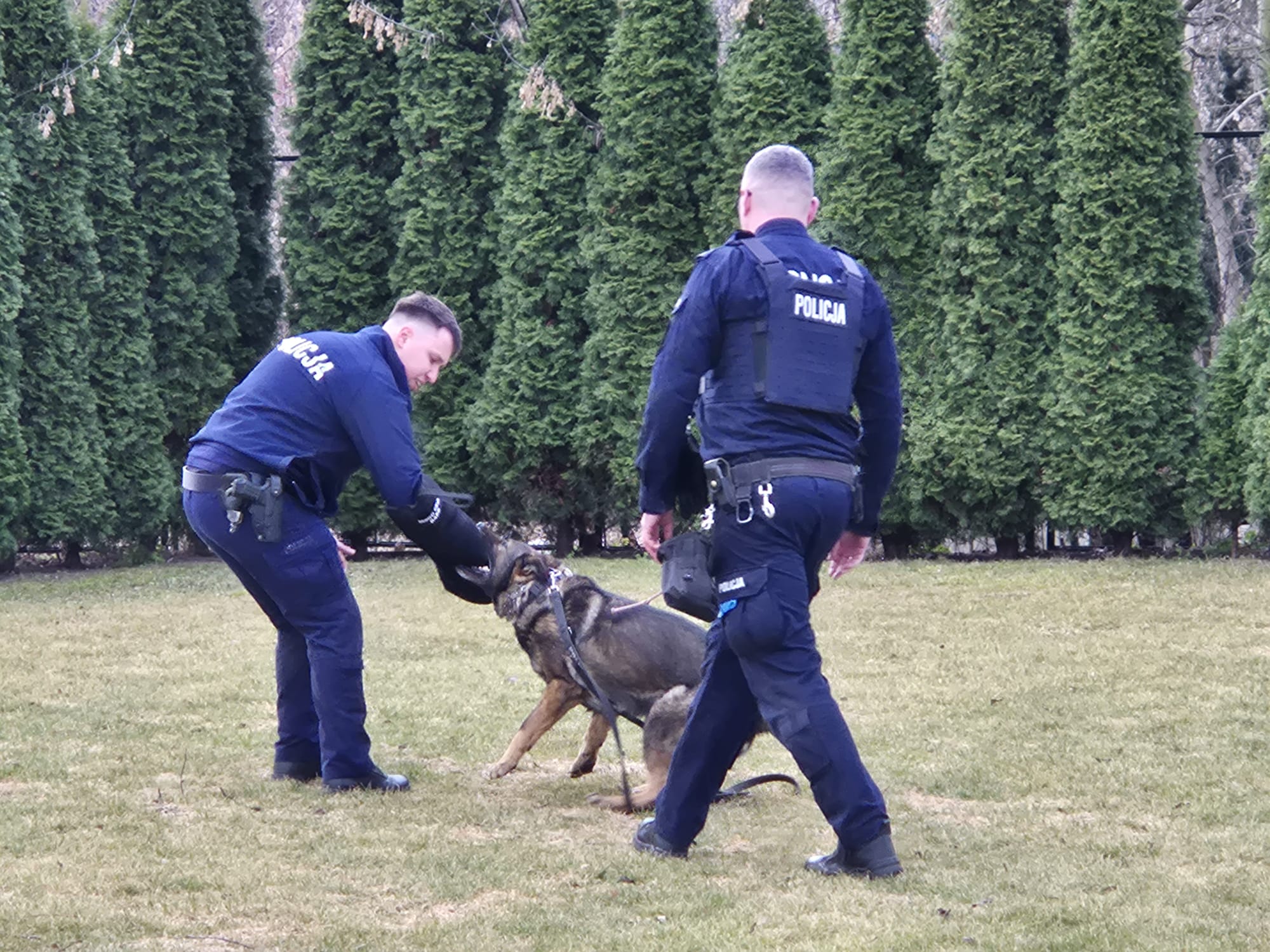 policjanci na pokazie psa służbowego na bulwarach